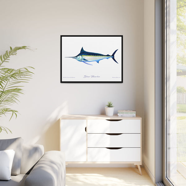 Framed Blue Marlin Canvas Fish Wall Art Print by Charles Harden