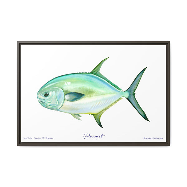 Framed Permit Canvas Fish Fishing Wall Art Print