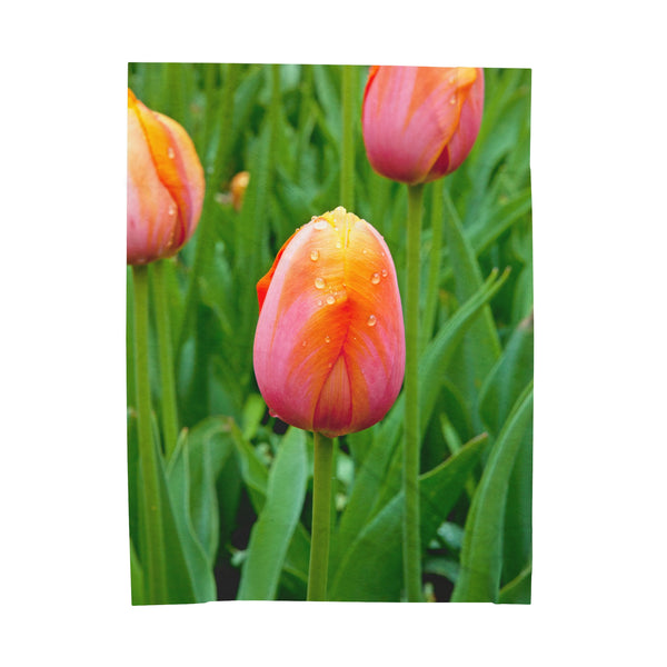 Morning Dew Tulip Garden Velveteen Plush Blanket