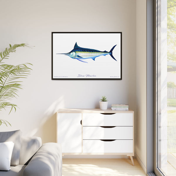 Framed Blue Marlin Canvas Fish Wall Art Print by Charles Harden