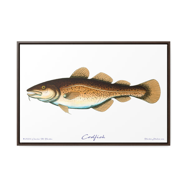 Framed Codfish Canvas Fish Fishing Wall Art Print with Free Shipping