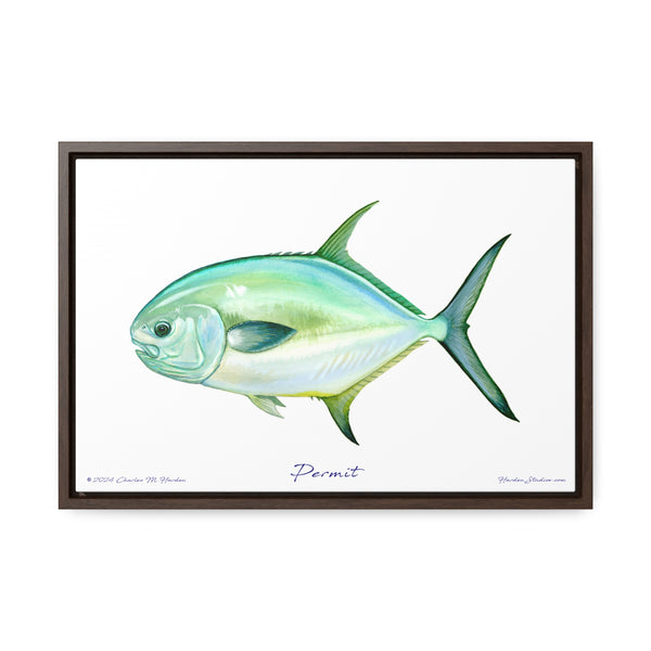 Framed Permit Canvas Fish Fishing Wall Art Print with Free Shipping