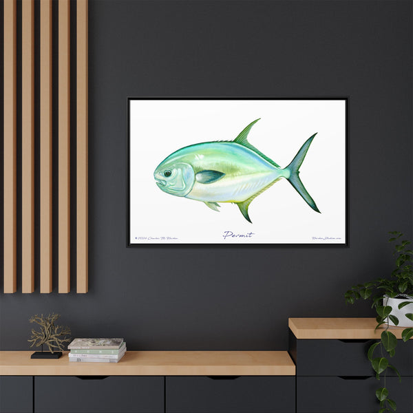 Framed Permit Canvas Fish Fishing Wall Art Print