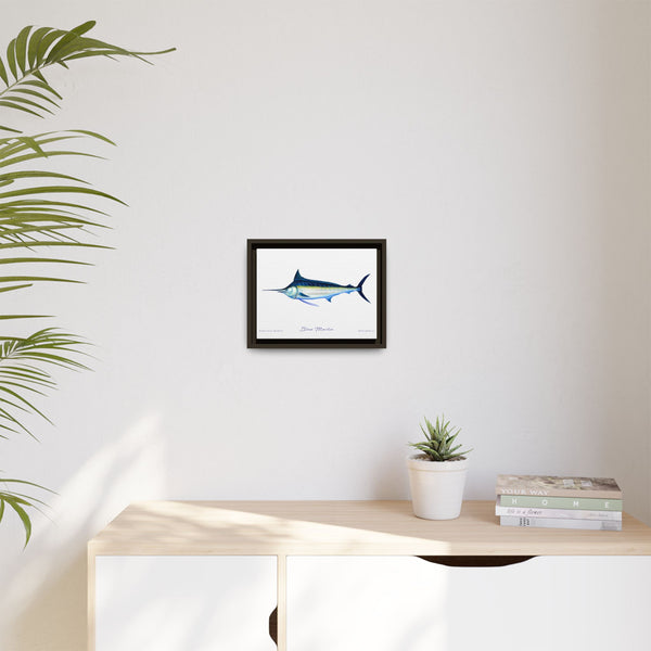 Framed Blue Marlin Canvas Fish Wall Art Print by Charles Harden