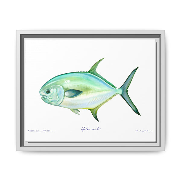 Framed Permit Canvas Fish Fishing Wall Art Print