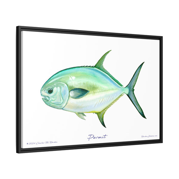 Framed Permit Canvas Fish Fishing Wall Art Print