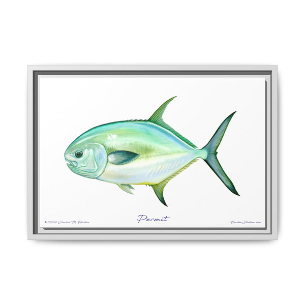 Framed Permit Canvas Fish Fishing Wall Art Print