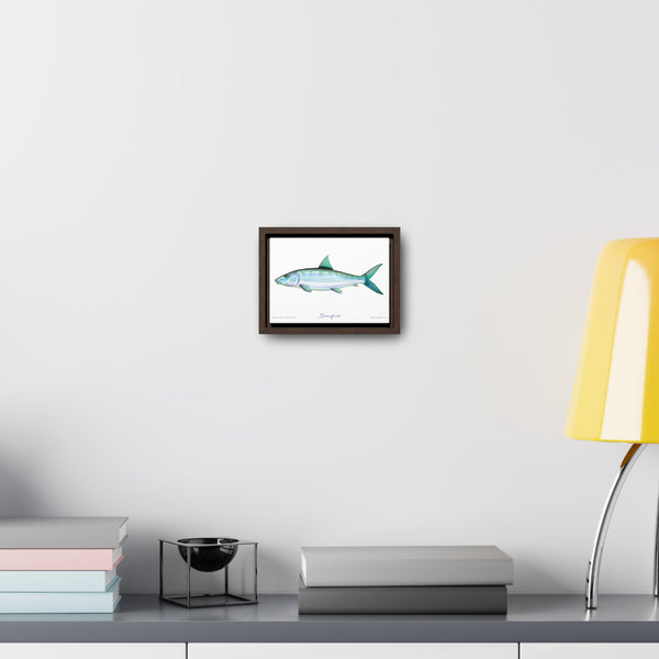 Framed Bonefish Canvas Fish Wall Art Print with Free Shipping