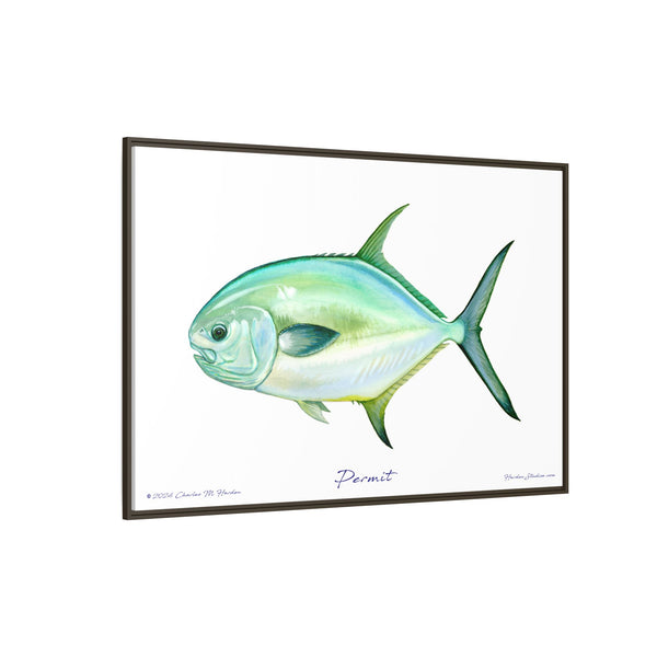 Framed Permit Canvas Fish Fishing Wall Art Print