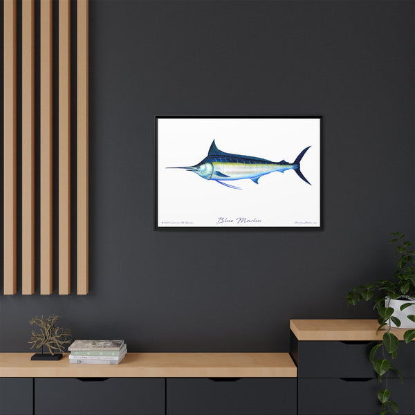 Framed Blue Marlin Canvas Fish Wall Art Print by Charles Harden