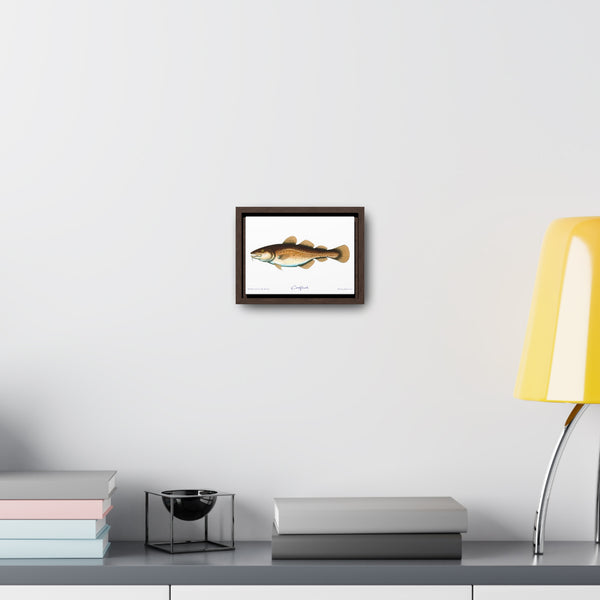 Framed Codfish Canvas Fish Fishing Wall Art Print with Free Shipping