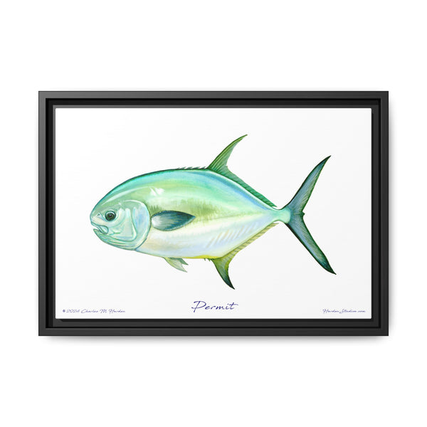 Framed Permit Canvas Fish Fishing Wall Art Print