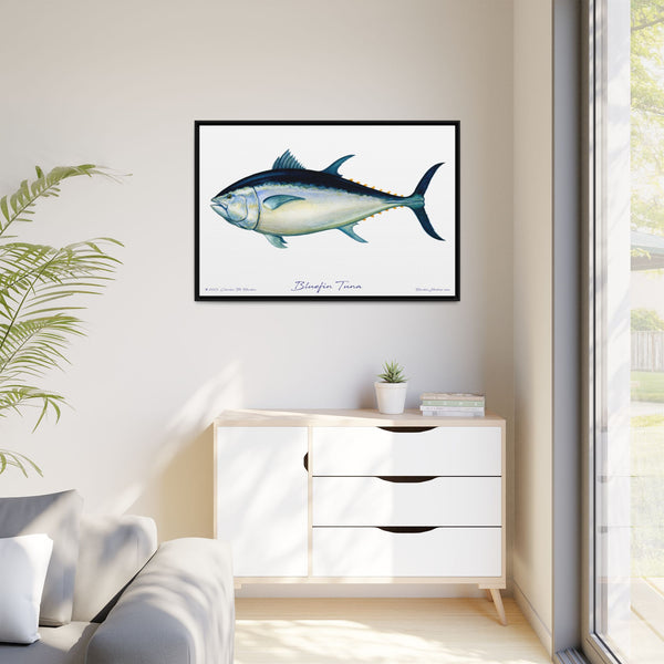 Bluefin Tuna Framed Canvas Fish Art Print