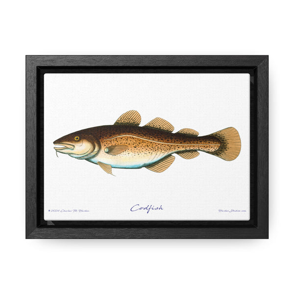 Framed Codfish Canvas Fish Fishing Wall Art Print with Free Shipping