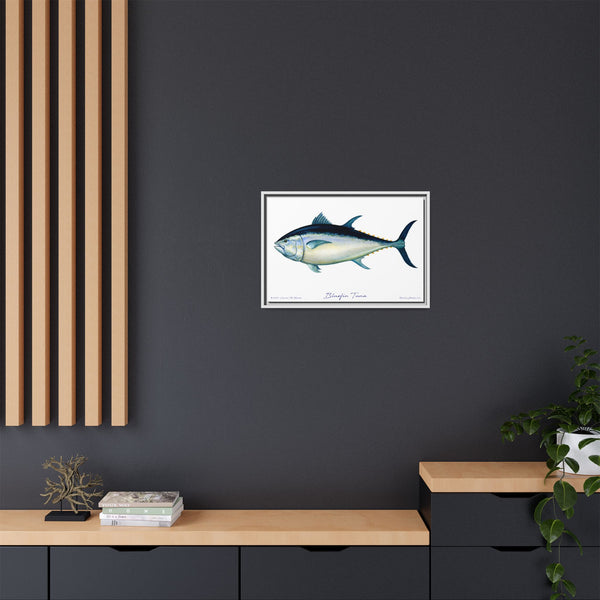 Bluefin Tuna Framed Canvas Fish Art Print