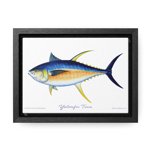 Framed Yellowfin Tuna Canvas Fish Fishing Wall Art Print Free Shipping