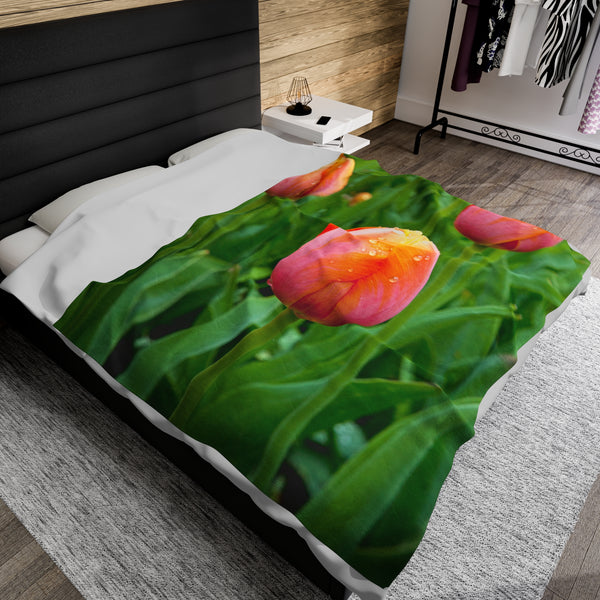 Morning Dew Tulip Garden Velveteen Plush Blanket