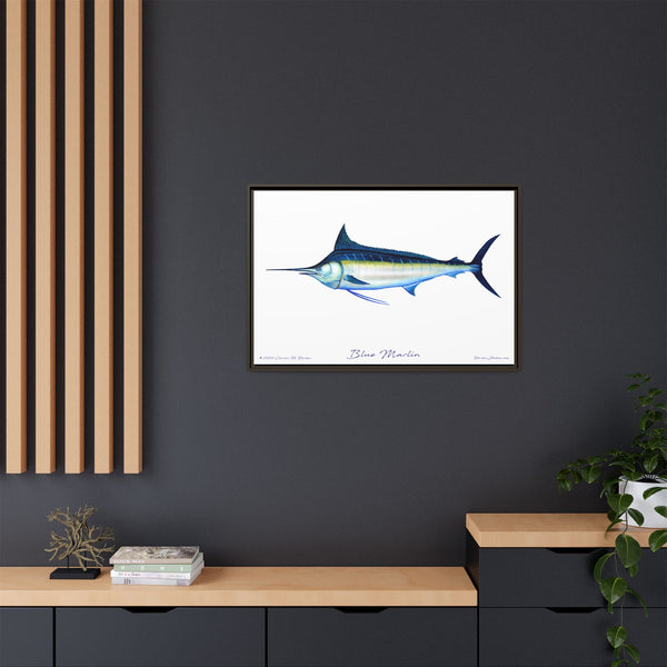 Framed Blue Marlin Canvas Fish Wall Art Print by Charles Harden