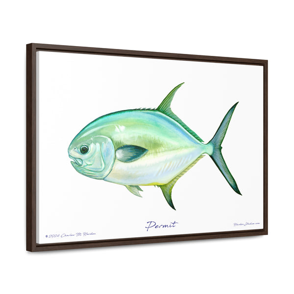 Framed Permit Canvas Fish Fishing Wall Art Print with Free Shipping