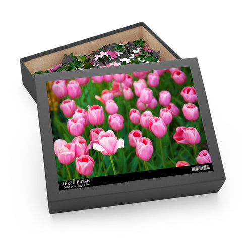 Tulips Puzzle 1 (120, 252, 500-Piece)