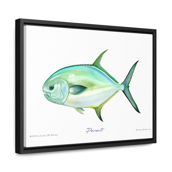 Framed Permit Canvas Fish Fishing Wall Art Print with Free Shipping