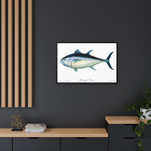 Bluefin Tuna Framed Canvas Fish Art Print