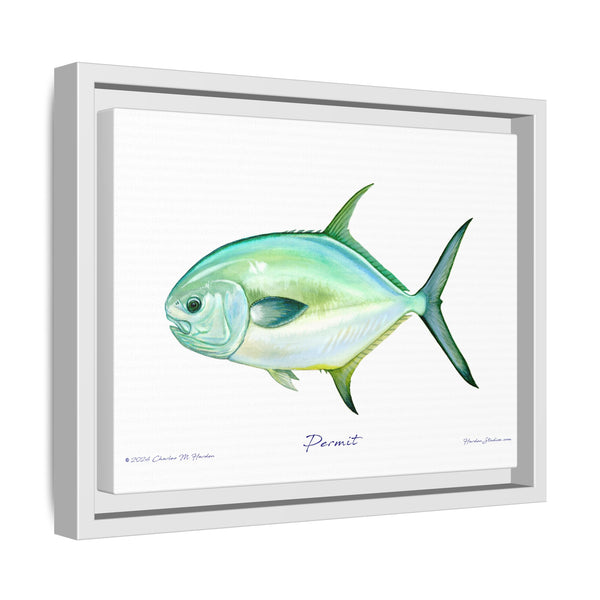 Framed Permit Canvas Fish Fishing Wall Art Print