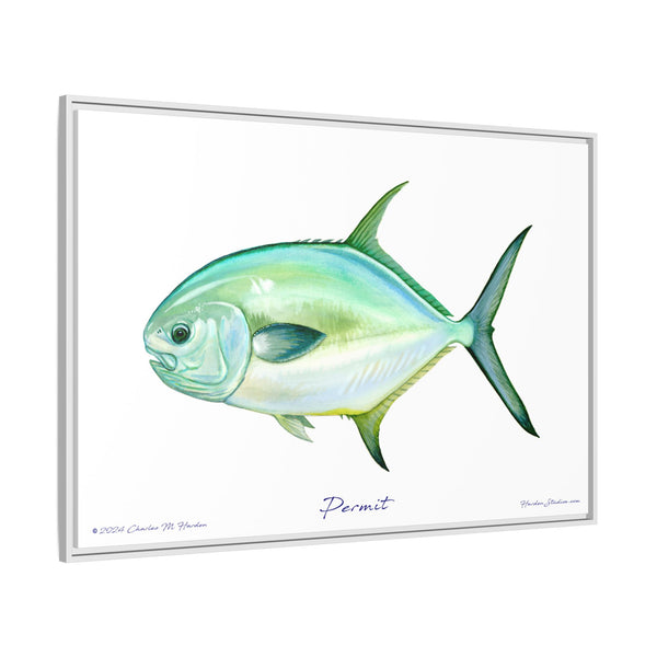 Framed Permit Canvas Fish Fishing Wall Art Print