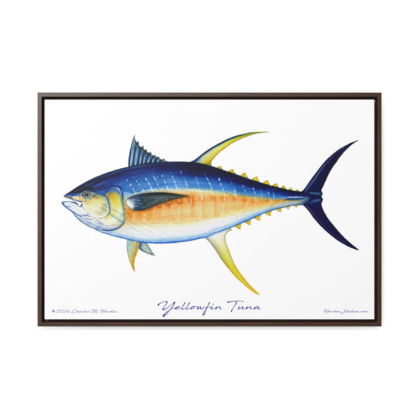 Framed Yellowfin Tuna Canvas Fish Fishing Wall Art Print Free Shipping