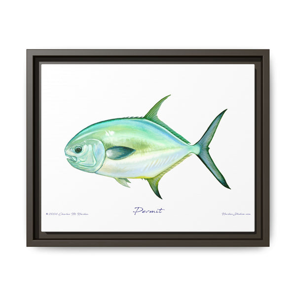 Framed Permit Canvas Fish Fishing Wall Art Print