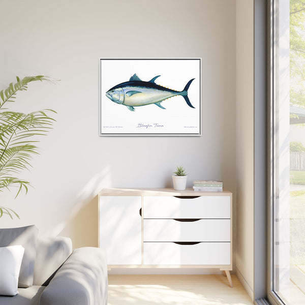 Bluefin Tuna Framed Canvas Fish Art Print