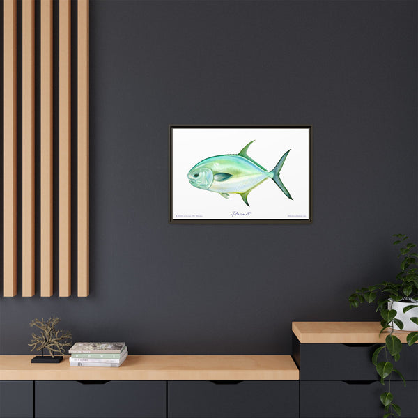 Framed Permit Canvas Fish Fishing Wall Art Print