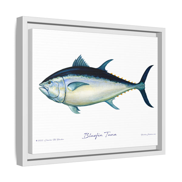 Bluefin Tuna Framed Canvas Fish Art Print