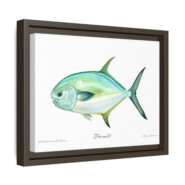 Framed Permit Canvas Fish Fishing Wall Art Print