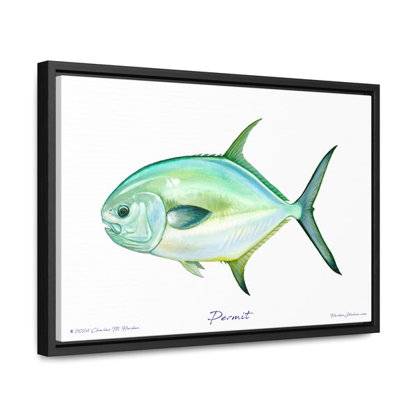 Framed Permit Canvas Fish Fishing Wall Art Print with Free Shipping