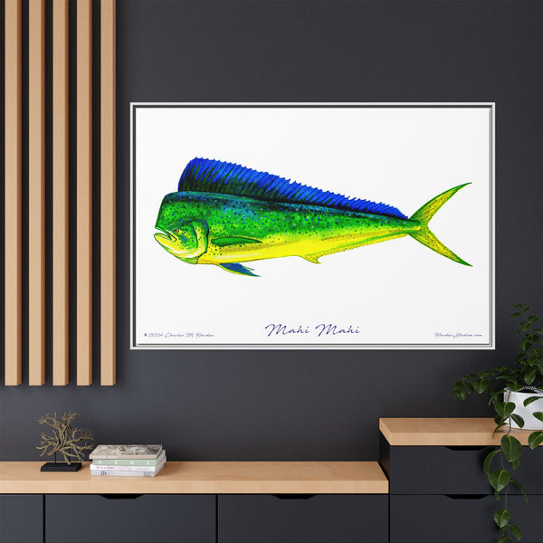 Mahi Mahi Framed Canvas Fish Art Print