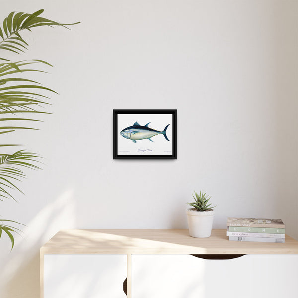 Bluefin Tuna Framed Canvas Fish Art Print