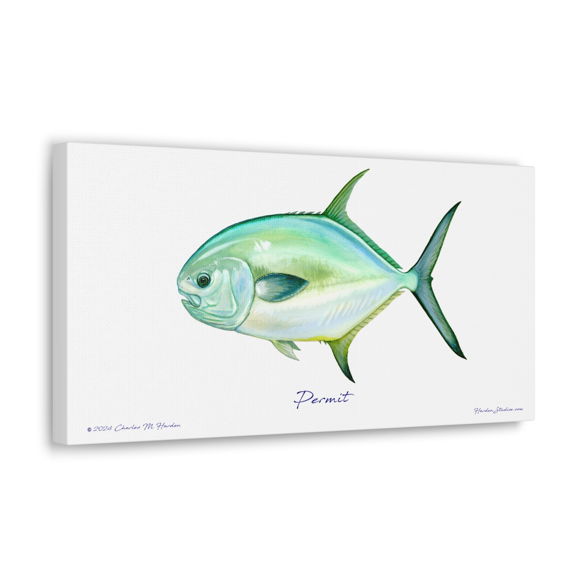 Permit Fish Canvas Wall Art Print