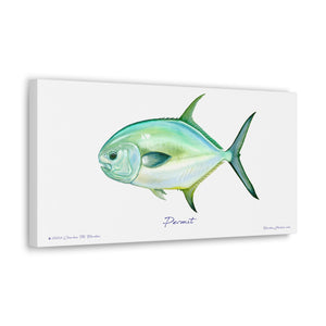 Permit Fish Canvas Wall Art Print