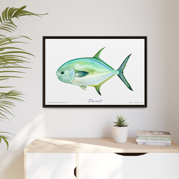 Framed Permit Canvas Fish Fishing Wall Art Print