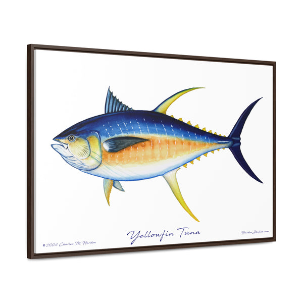 Framed Yellowfin Tuna Canvas Fish Fishing Wall Art Print Free Shipping