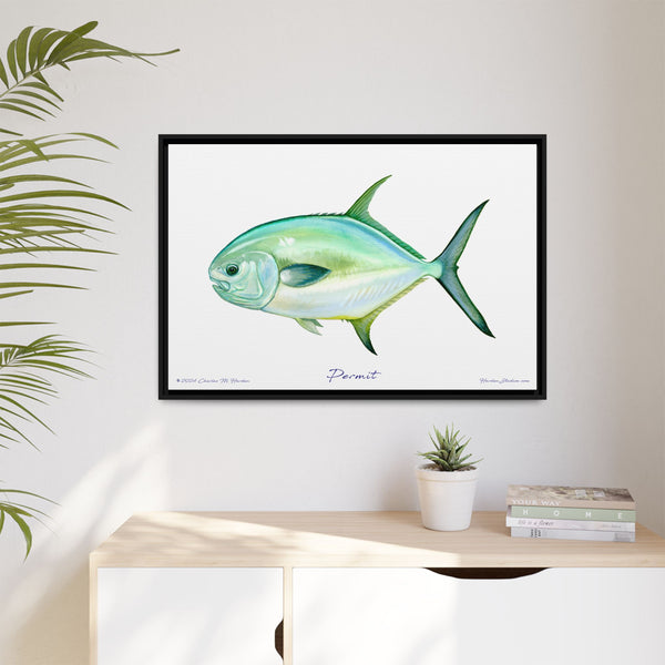 Framed Permit Canvas Fish Fishing Wall Art Print