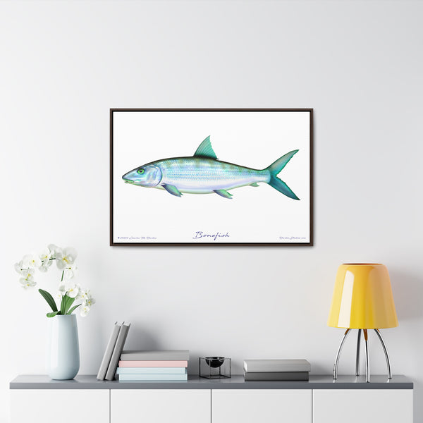 Framed Bonefish Canvas Fish Wall Art Print with Free Shipping