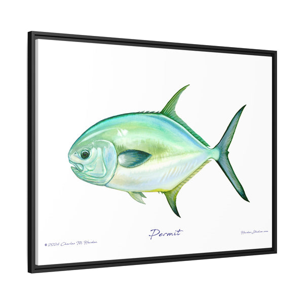 Framed Permit Canvas Fish Fishing Wall Art Print