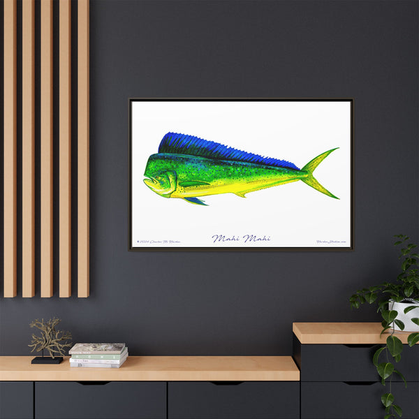 Mahi Mahi Framed Canvas Fish Art Print