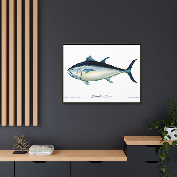 Bluefin Tuna Framed Canvas Fish Art Print