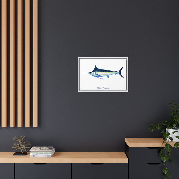 Framed Blue Marlin Canvas Fish Wall Art Print by Charles Harden