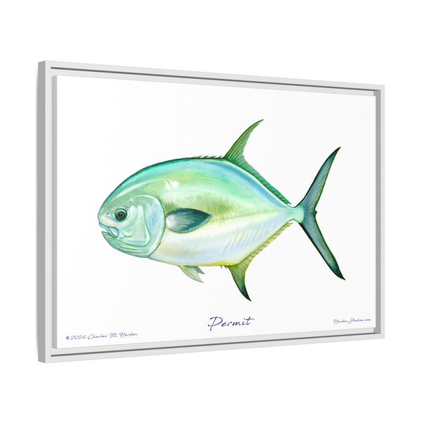 Framed Permit Canvas Fish Fishing Wall Art Print