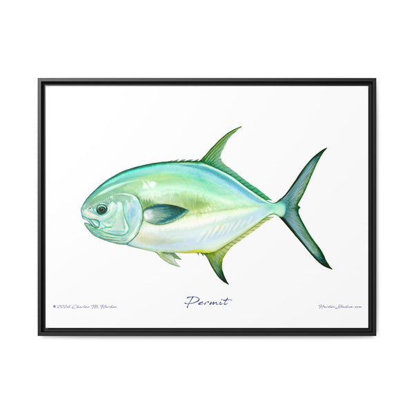 Framed Permit Canvas Fish Fishing Wall Art Print