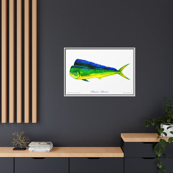 Mahi Mahi Framed Canvas Fish Art Print